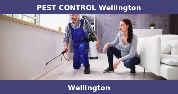 PEST CONTROL Wellington